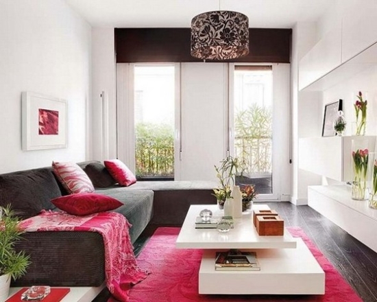 Възможна интериорен дизайн малък хол. 9 идеи за малки апартаменти