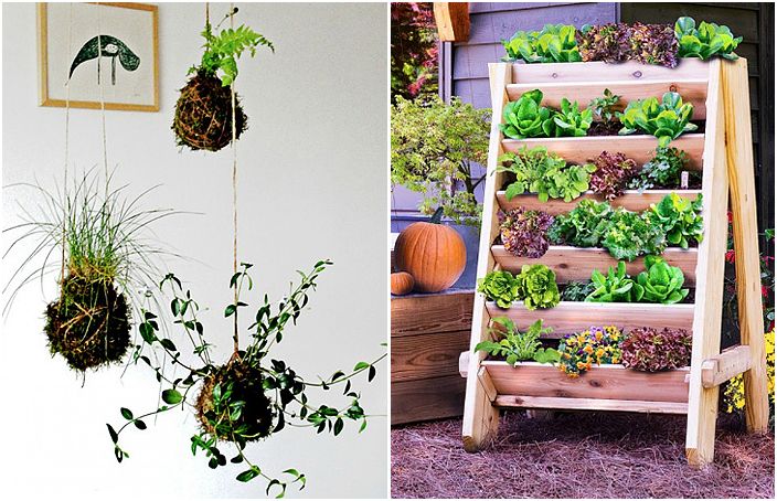 17 оригинални идеи за създаване на вертикална градина декориране на апартамент или къща страна