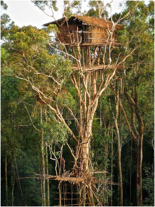 19 невероятна Treehouse от цял ​​свят