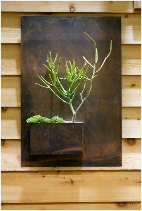 Цъфтеж стена: 20 сочни примери за вертикалното поставяне на стайни растения