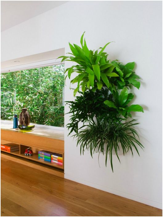 Цъфтеж стена: 20 сочни примери за вертикалното поставяне на стайни растения