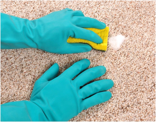 Ръчно Почистване на килими домашни средства