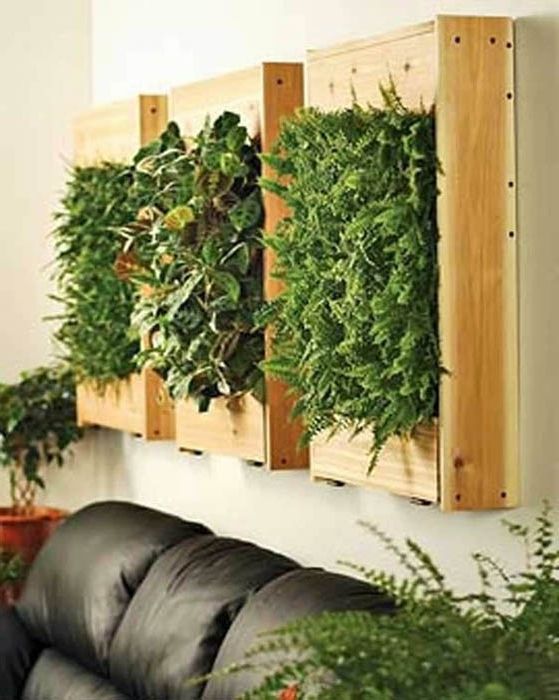 10 страхотни идеи за декорация на стените на жилищни растения