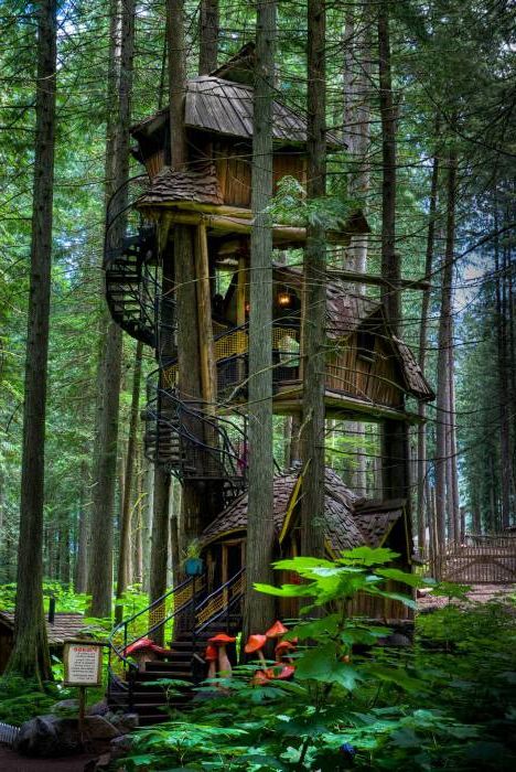 15 най-невероятни екологичен и удобен Treehouse