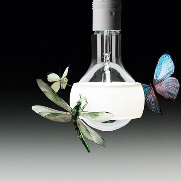 Пеперудите на една крушка: страхотна ръчно изработени стилни лампи