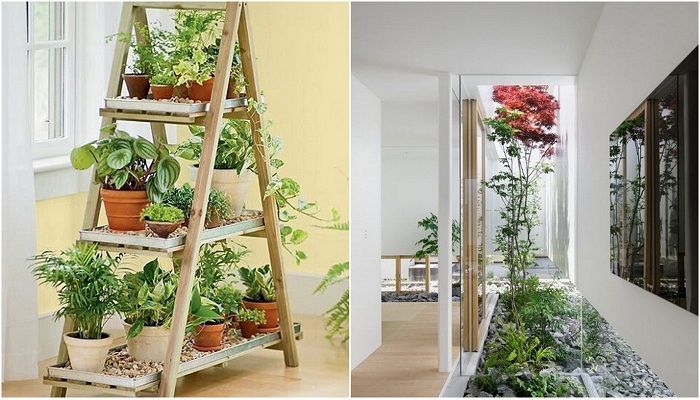 Оригинальные крытые сады дома, которые вдохновят. Оригинальные крытые сады дома, которые вдохновят.